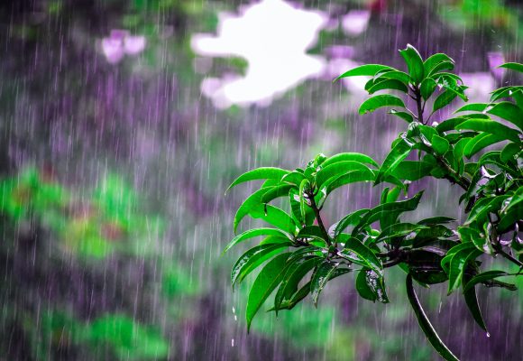 3 idées pour préserver la maison de la pluie pendant l&rsquo;été